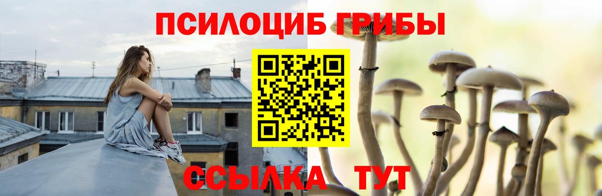 Галлюциногенные грибы прущие грибы Миллерово